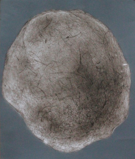 Wielorakie II | druk wklęsły | 59x49cm